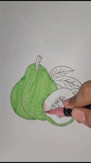 Amazing Guava Drawing Tutorial