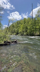 6.3K views · 262 reactions | Cheoah River near Robbinsville NC | Fly Fishing the Smokies | Facebook