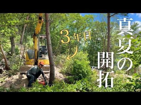 Building a Clearing in the Forest | | A small life in the forest