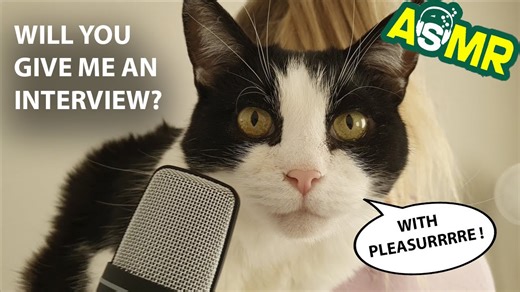 Top ASMR Expert Reveals Best Purring Techniques