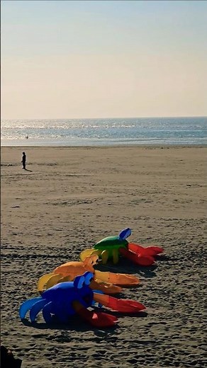 Plage de Berck ⛱️ Berck-Plage ☀️ France 🇫🇷