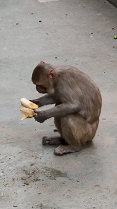 5.7K views · 28 reactions | ✨ The Pygmalion Effect: History and...