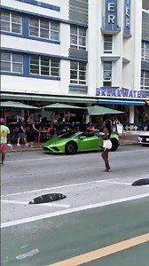 Miami is getting wild #miami #shorts