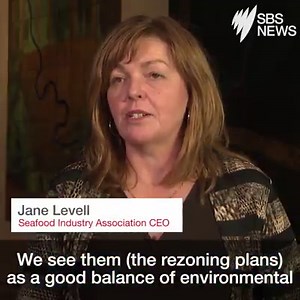 11K views · 70 reactions | This critically endangered turtle is about to go for a very long swim  | SBS News | Facebook