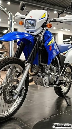 Is This the RAREST Suzuki Ever? 😱 Suzuki 250 SB – The 2-Stroke Beast You’ve Never Seen!”