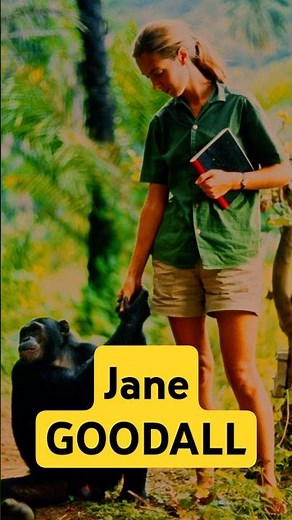 14 - Who is Jane GOODALL? | The Scientist Who Decoded The Language of Chimpanzees #history #science