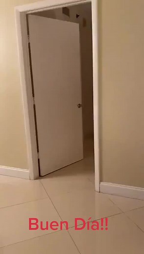 Guillermo Francella: ¡Buenos Días y Humor!