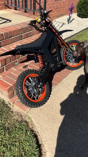 Dog is tripping #dog #bikelife #tuttio #fyp #surron
