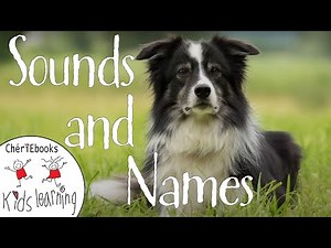 Babys First Words - Farm Animals Names and Sounds for Babies