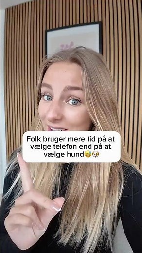 Find den rigtige hund – ikke bare den sødeste 🐕#dyreportal #hundetilsalg #hundeejer