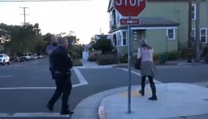 v1h77lh-89356085.html