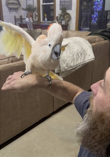 Straight outta the box acting a fool, he fits right in🤣