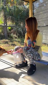 21K views · 1.9K reactions | It's Momo Monday! But *boy* do we have...