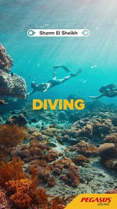 Explore Türkiye and Beyond with Pegasus Airlines | Pegasus Airlines
