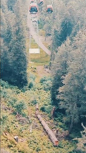 Gondola Cable Car Tour in Icy Strait Point Hoonah Alaska