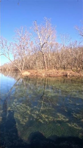 This is where Bennett Spring flows into the Niangua River