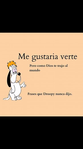 me gustaría verte, frases Droopy nunca dijo | Free tv