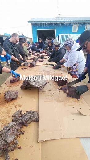 Making Mikigaq: Traditional Whale Meat Preparation