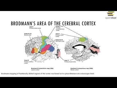 Chapter 13 Recorded Lecture