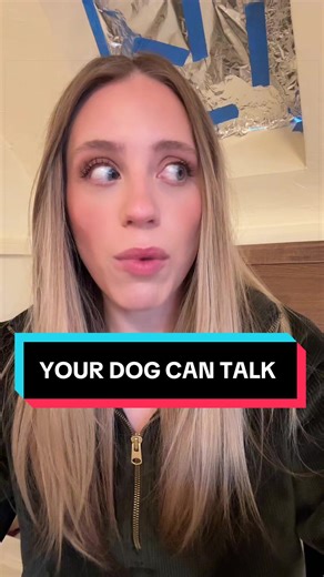 How Dogs Communicate with Us
