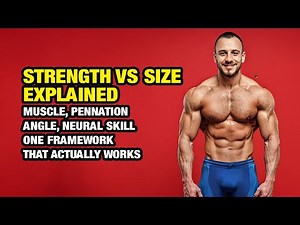 Strength vs Size, Explained
