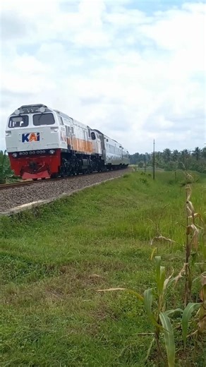 THE ENGINEER IS COOL❤ #keretaapi #train #shorts #viral #masinis #videokeretaapi #argobromoanggrek