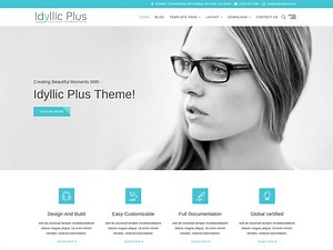 Best Responsive WordPress Plugins for Free Themes