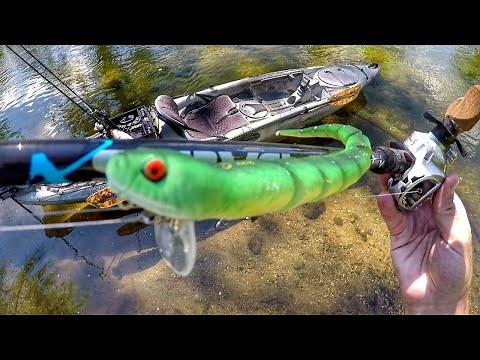 Do Bass Really Eat Snakes?