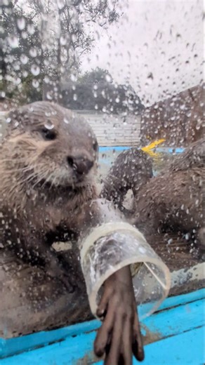 2.5K views · 2.4K reactions | The weekend is almost here, but why...