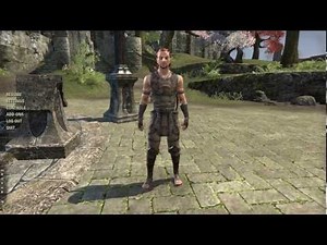 The Elder Scrolls Online Nvidia Geforce GT 630M
