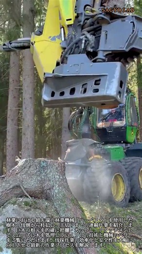 最新ハーベスタによる精密な伐倒と高速造材作業 #worker #process #harvesting #forestry #chainsaw