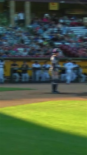 324 reactions · 3 comments | In case you forgot, Jackson Chourio was HIM as a Timber Rattler.  31 G | 32 H | 8 HR | 24 R | 24 RBI #tratnation | Wisconsin Timber Rattlers | Facebook