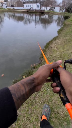 Biggest Crappie Caught in Texas Pond!