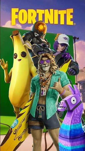 Fortnite Default Skins With Two Battle pass Skins