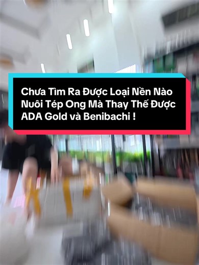 -> Bao nhiêu năm vẫn chưa tìm ra được nền công nghiệp dành cho Tép Lạnh - Tép Ong mà tốt hơn ADA Gold và Benibachi -> Và 2 mã này luôn sẵn nhiều tại Tép Màu Quận 3 cho AE đam mê trải nghiệm #tepong #tepmau #tepmauquan3