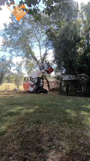 From overgrown to open in seconds 😁 #forestrymulching #landclearing #andersonsc