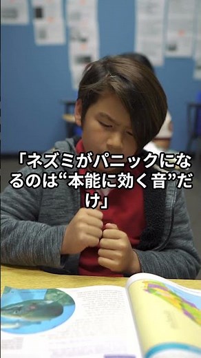 【ネズミ撃退音】本当に逃げたのはどの音？超音波vs金属音vs捕食音｜保存推奨Short