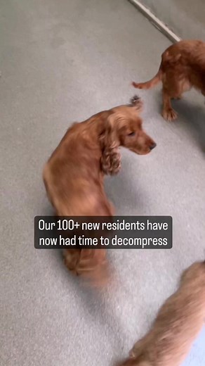 51K views · 2.1K reactions | PART 3: Our 100+ new residents have now...