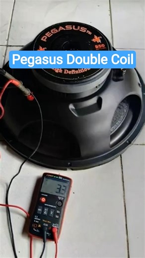 Speaker subwoofer 15 inch pegasus