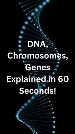 DNA, Chromosomes, Genes Explained in 60 Seconds! #shorts #dna #science