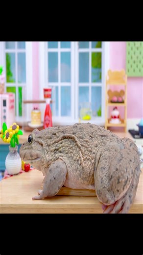 #miniature #minicooking #foryou #yummybakery | mini cooking