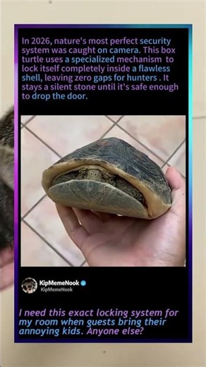 Nature's Most Flawless Security System! 🐢 #Turtles #Wildlife #Nature