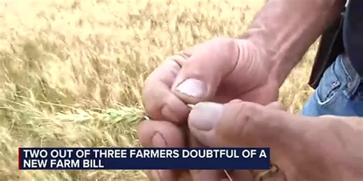 The Farm Bill, lame cattle and increases in cattle prices