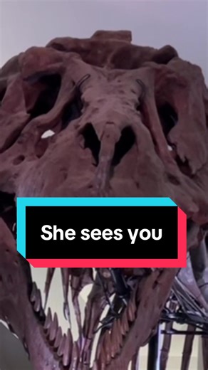 How Jurassic Park Misrepresents T. Rex Vision