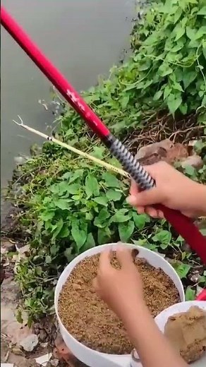 5 Bí Mật Về Trộn Mồi Câu Cá Rô Chép🎣#100k #fishing #shorts