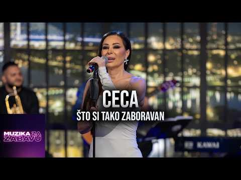 CECA - STO SI TAKO ZABORAVAN (CECA SHOW LIVE 2026)