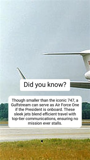 Air Force One on TikTok