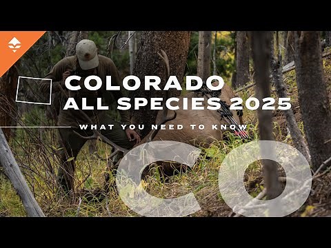 Planning a Hunt in Colorado? Watch THIS First! | Colorado What You Need to Know All Species