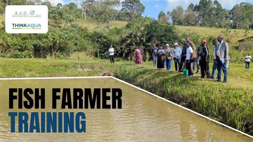 How to train local farmers • Uganda | Rural Aquaculture Development Global