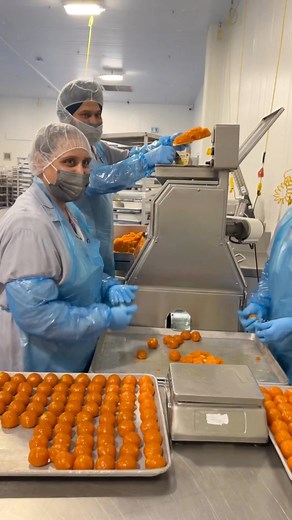 I got to visit @brarsfoodculture manufacturing plant, where they make a whopping 200,000 samosas every day! It was such a cool opportunity because no one else had ever done it before. The plant was really clean and organized.First, we had to go through a security check to make sure everything was safe. Then, we washed our hands and had our shoes cleaned to keep things super clean. After that, we went to the milk room where they make paneer using fresh milk from farms. It was interesting to see h